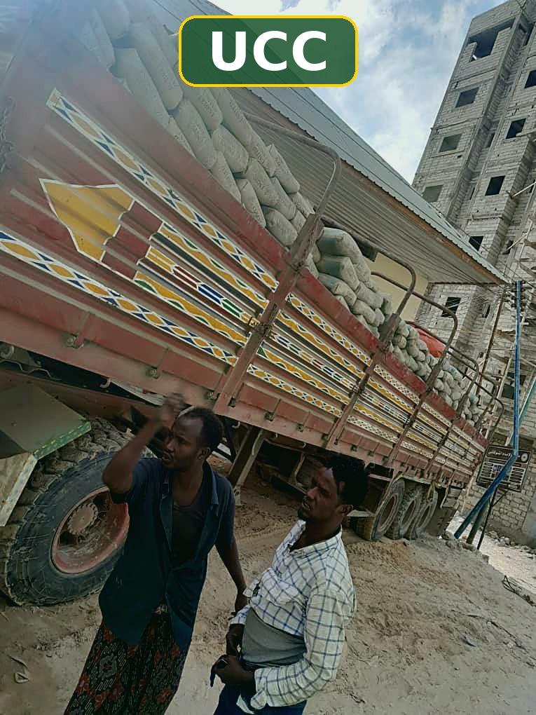 Cement bale transport — photo 20